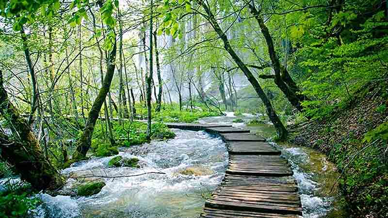  تور یکروزه طبیعتگردی شمال 
