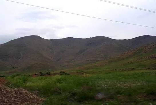 کمپ نیم روزی یوگا
