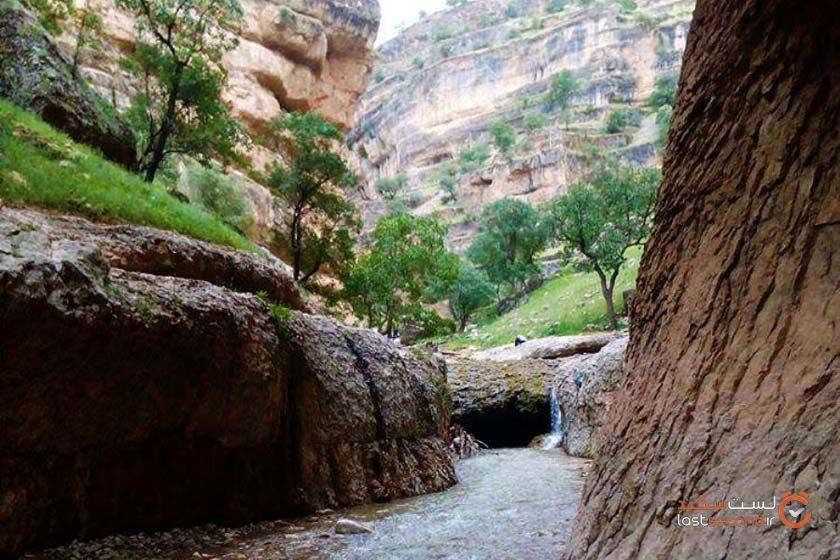 سافاری و کمپینگ کوهدشت