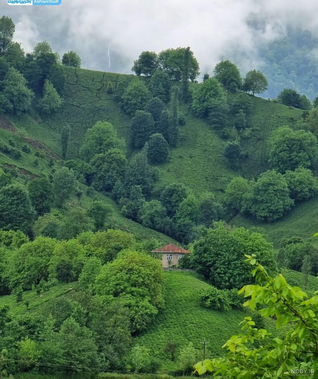 تور گیلان 